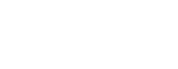 Noize of Germany Logo, white